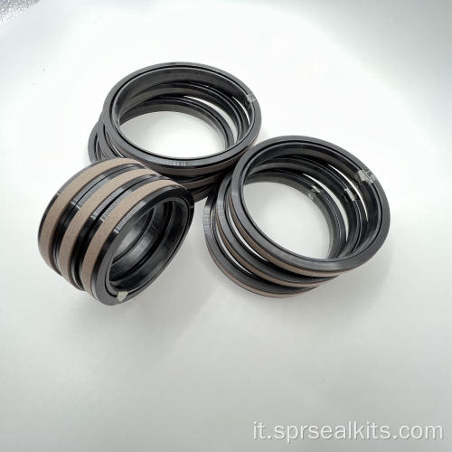 SEAL SPECIALE PER SEAL del pistone SPGW